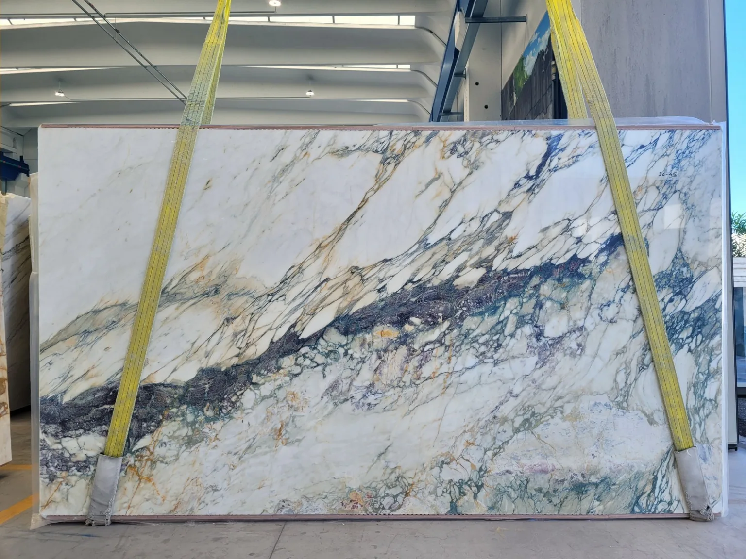 VEN GIANLUCA OSQ_breccia capraia_l 11803.370_10 slabs_310x180x2cm_36-45